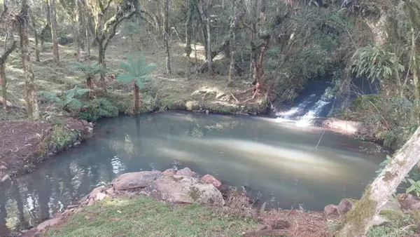 Oportunidade Única! Área de 5 Hectares a 12 km do Centro de Canela - Imagem 11