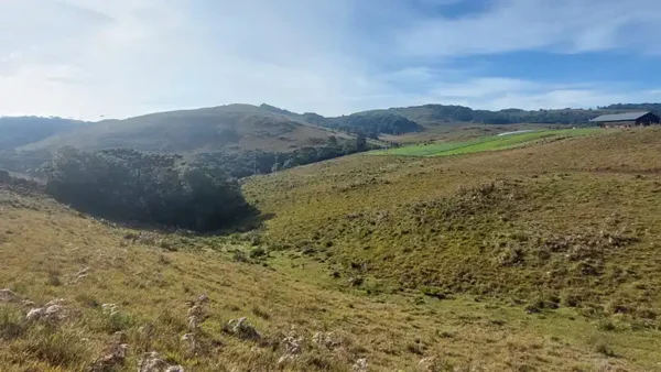 Oportunidade Única! Área de 5 Hectares a 12 km do Centro de Canela - Imagem 9
