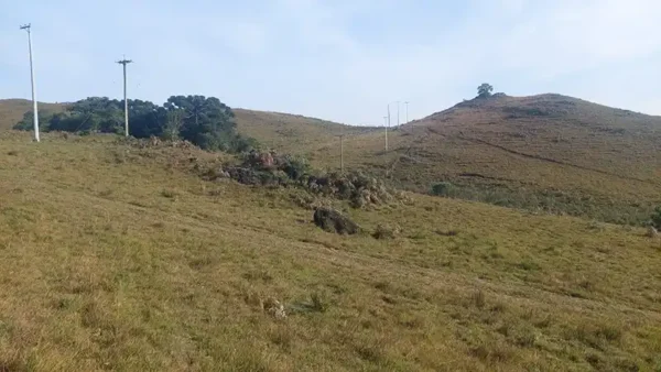 Oportunidade Única! Área de 5 Hectares a 12 km do Centro de Canela - Imagem 8