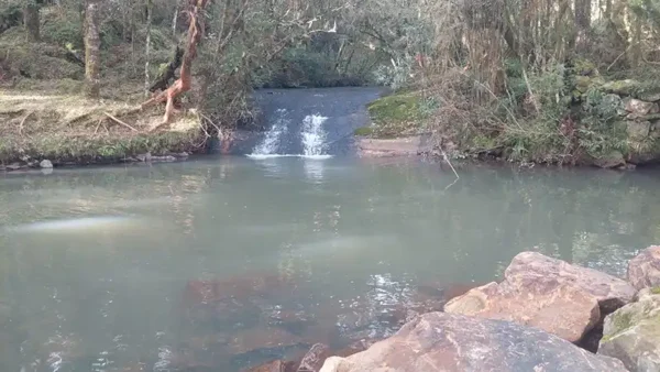 Oportunidade Única! Área de 5 Hectares a 12 km do Centro de Canela - Imagem 20