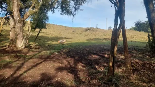 Oportunidade Única! Área de 5 Hectares a 12 km do Centro de Canela - Imagem 19