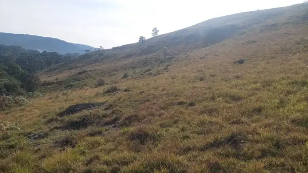 Oportunidade Única! Área de 5 Hectares a 12 km do Centro de Canela - Imagem 17