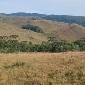 Oportunidade Única! Área de 5 Hectares a 12 km do Centro de Canela