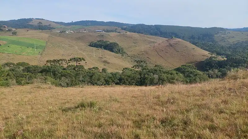 Oportunidade Única! Área de 5 Hectares a 12 km do Centro de Canela