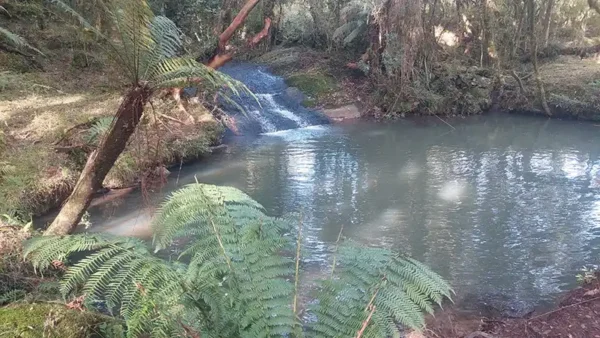 Oportunidade Única! Área de 5 Hectares a 12 km do Centro de Canela - Imagem 15