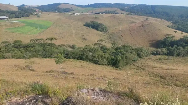 Oportunidade Única! Área de 5 Hectares a 12 km do Centro de Canela - Imagem 14